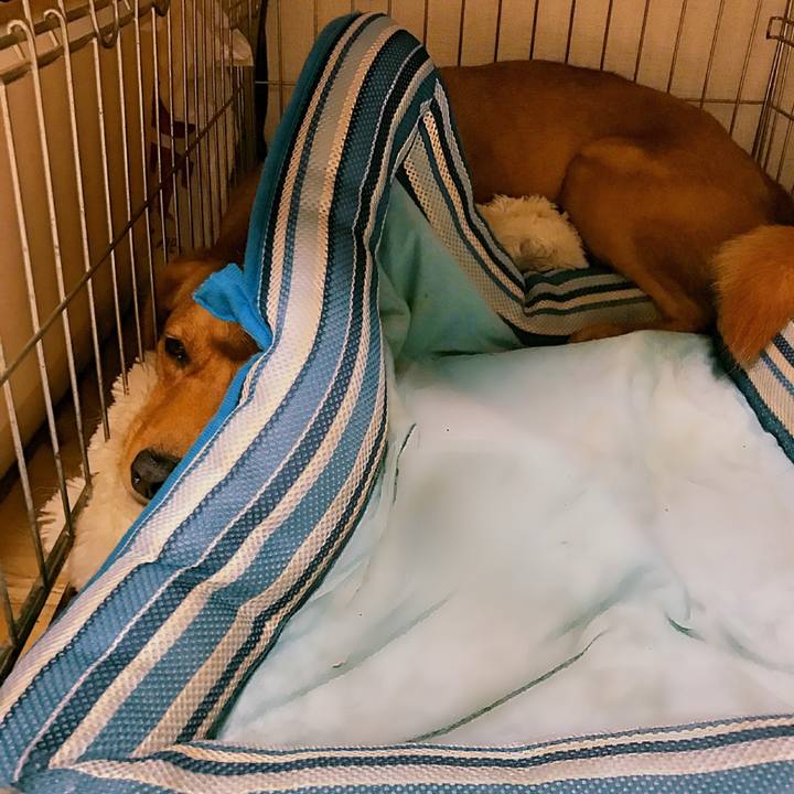 A3cd5d1a 5ade 407b b7e2 4d8d42e9f38f 1537112787014