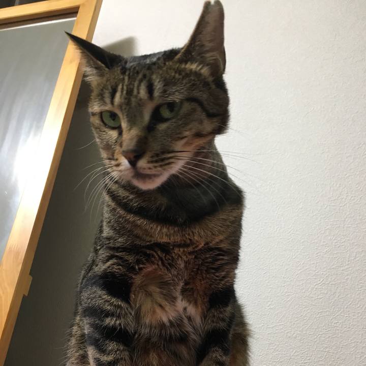 A3cd87f9 b18f 4fef aaaa ab6380737d88 1531911691411