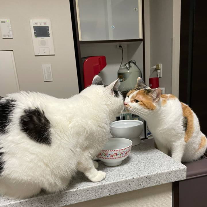 A3cd8c90 88ed 4536 84b9 6068c0c701c0 1607693463996