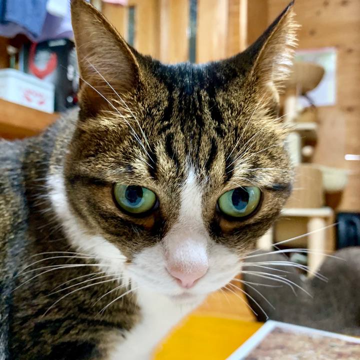 A3cde935 ce8b 4e3a 9afc cd75947c7daf 1562983646313