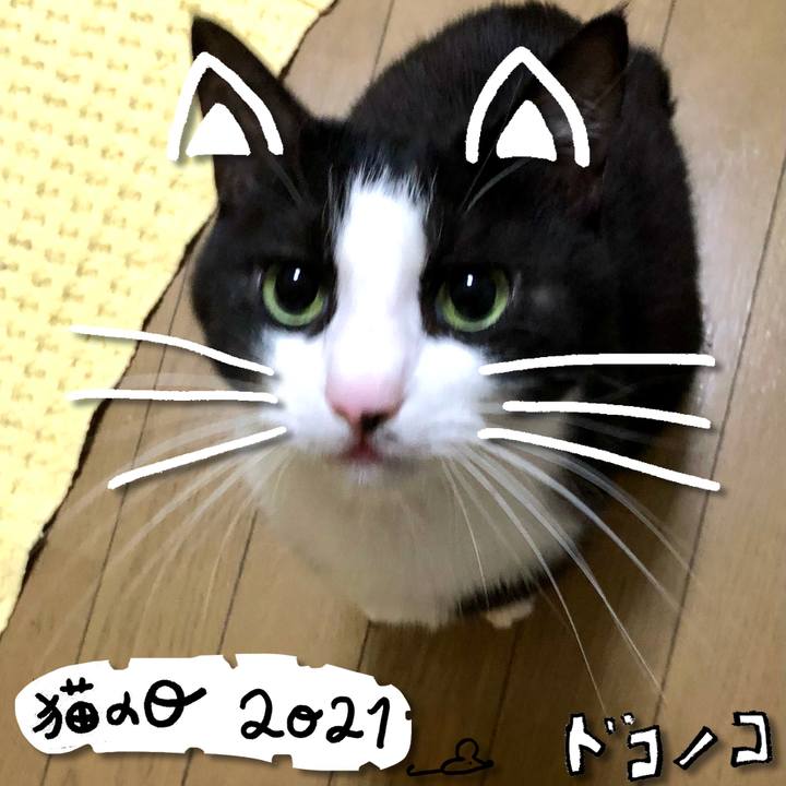 A3ce2c5e e2c2 452a 92e7 ecd85b241fd9 1613986336241