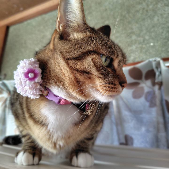 A3ce466d 3a9e 4239 9ca5 abe5ddce9d21 1763861164719