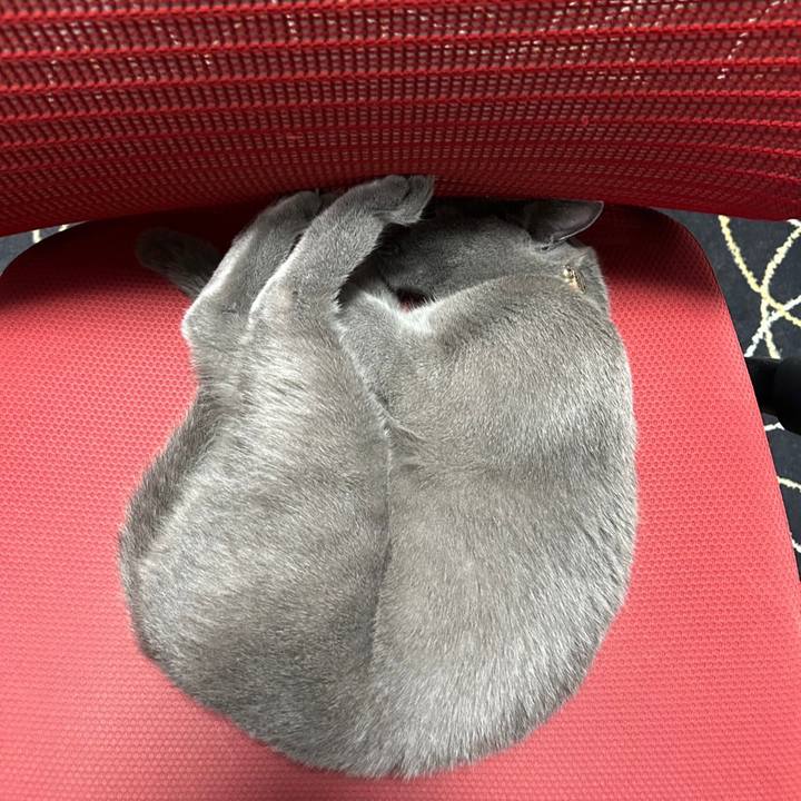 A3ce8d9a db3b 485c 82d5 159e821f05ed 1697168203939