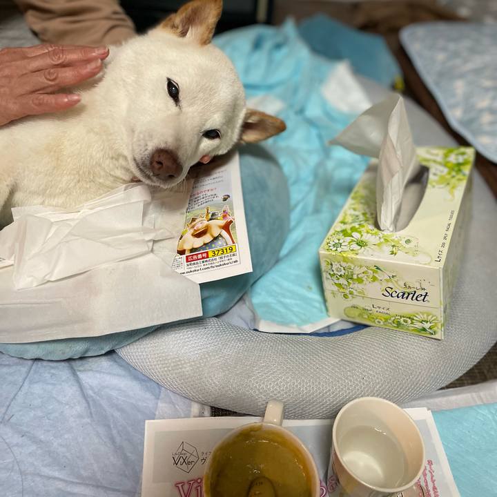 A3cef023 4edc 4d00 bad1 5b2631bfafcb 1652439712052