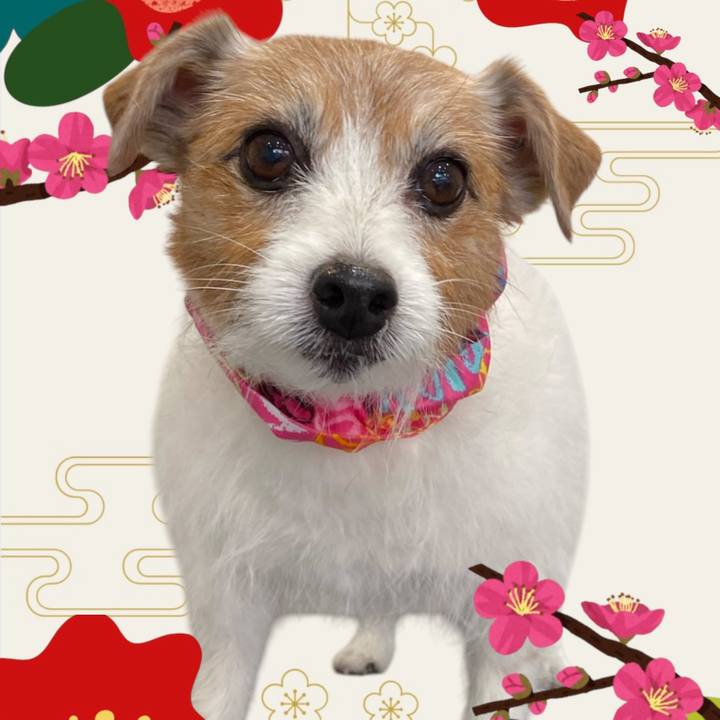 A3cf167c fa85 44d4 a39b 822d5533646b 1762047534278