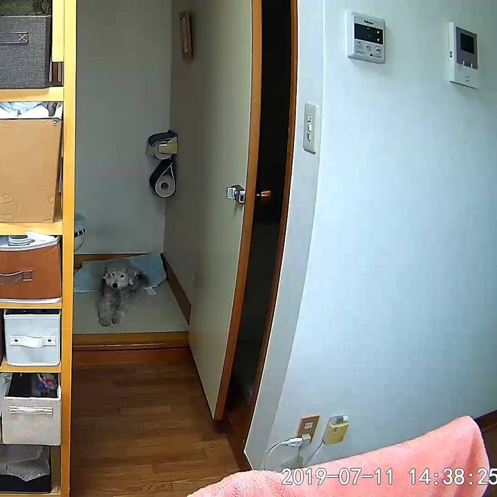 A3cf2ae1 05e1 4cb3 916a fe64ac9ba331 1562886581790