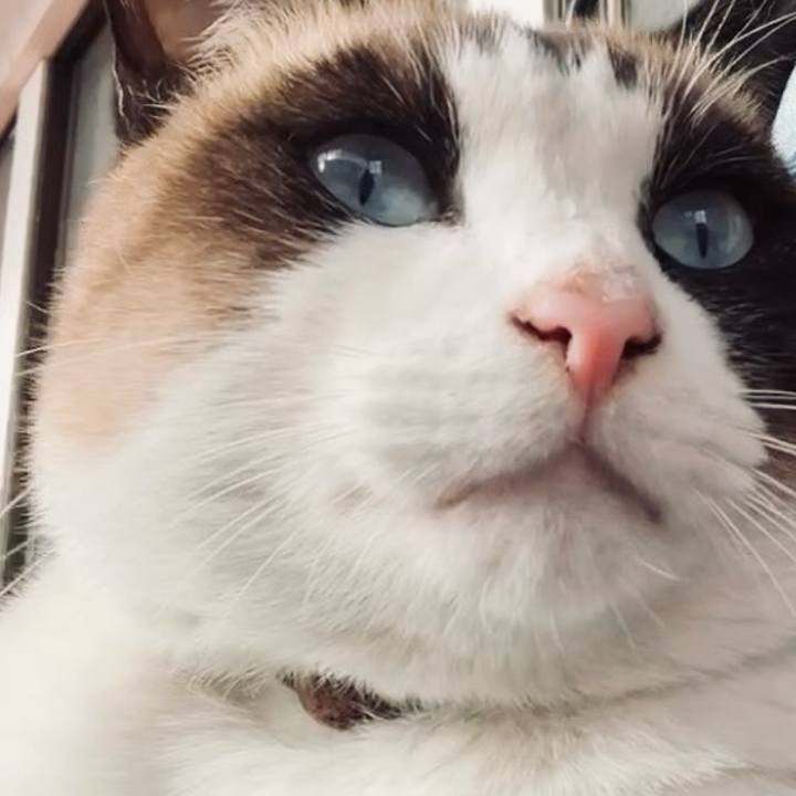 A3cf67ec a937 4e2f 82a2 038439ca1757 1734232036478