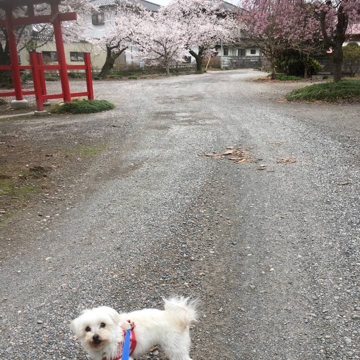 A3cf9049 5f3e 42bc 9b43 c756c02c890b 1617093329276