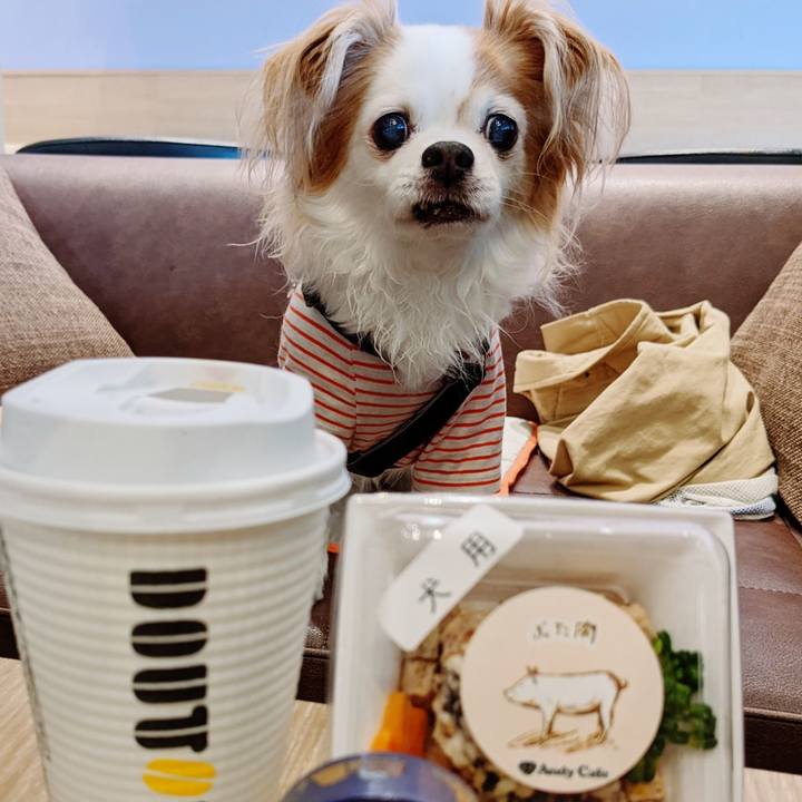 A3cfaf35 2f82 4fe9 a2ea 94bb0cec9dc2 1652075302996