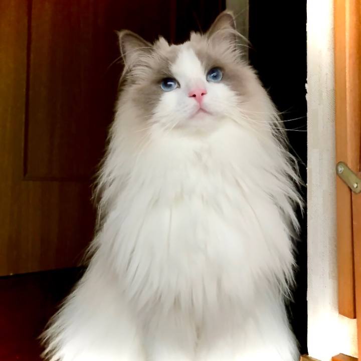 A3cfd767 9041 4f1c b221 4e143a929796 1609153281952