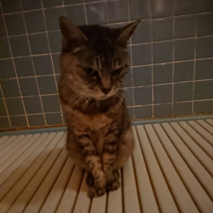 A3cff22f 26a3 41d3 8e14 5b4efcd32917 1569062235567