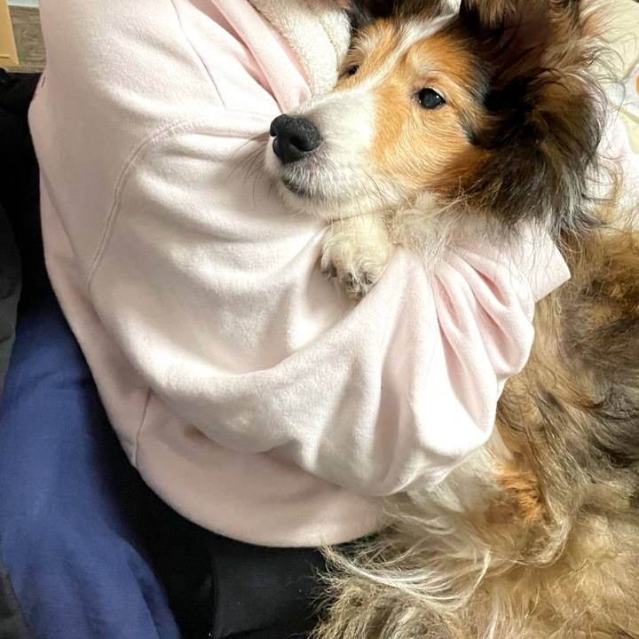 A3d0080c fb58 49c1 8675 00958279fdb7 1745066776933