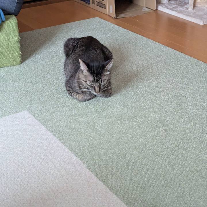 A3d06f24 c1b1 484e b692 8db55353e7ed 1758680017584