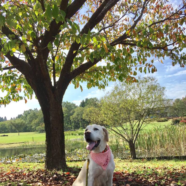 A3d06f8a 6a75 4888 9cea 01b76895dd30 1566965242436