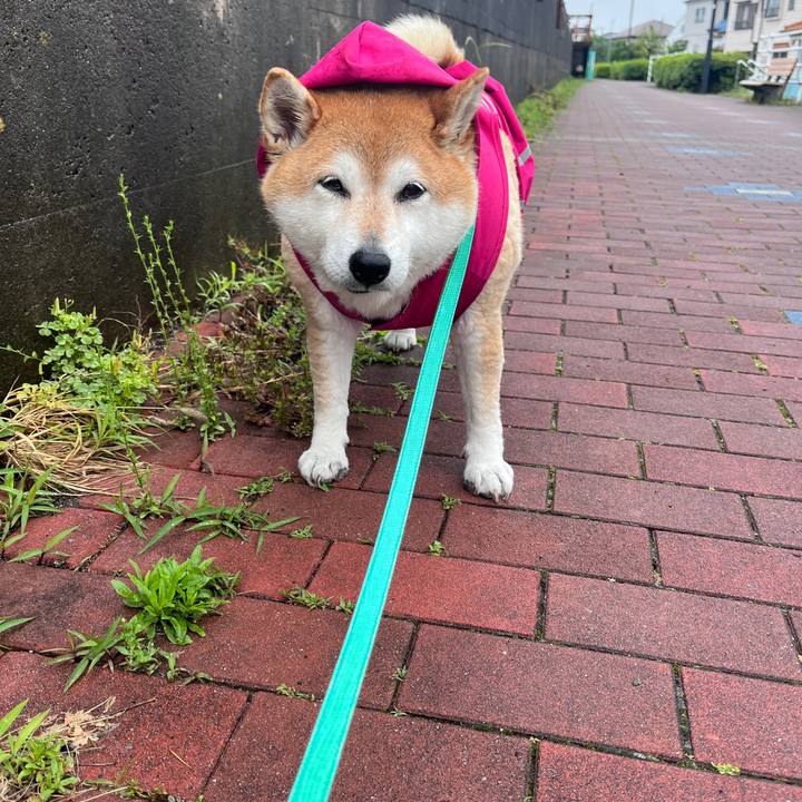 A3d08c0c cec6 4a4b 9c8b 9215d28aadec 1715575369320