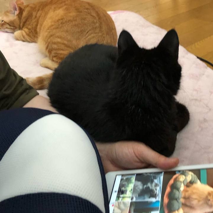 A3d1544e 7212 4f2c 880f fbe412965309 1564807622648