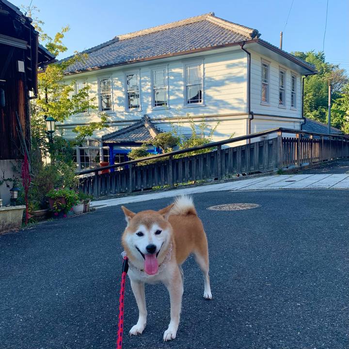 A3d15fb2 9acf 4cc9 911f 8ce6a1f5728c 1664181918534