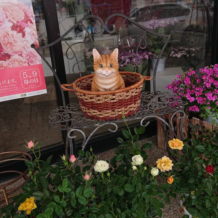 A3d17b80 2a70 4f8f a2ab 664353606a31 1619750488178