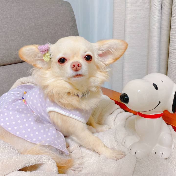 A3d185a6 08de 4860 89ab c6ec9ead45c8 1638442938110