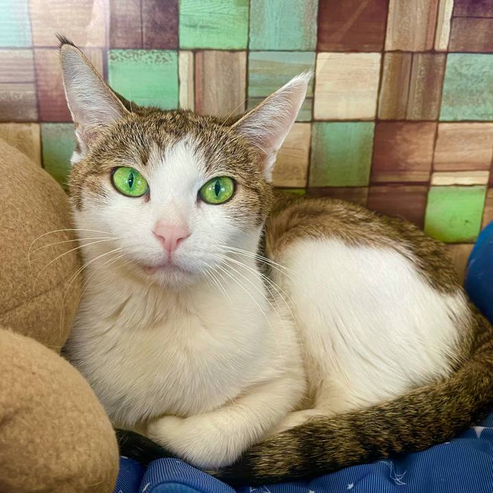 A3d18f57 60c7 4890 a294 872b4197b049 1636162712414