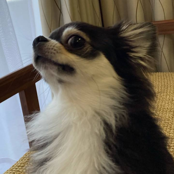 A3d1a773 fbd9 40c0 9fc2 043337ed6844 1656738244698