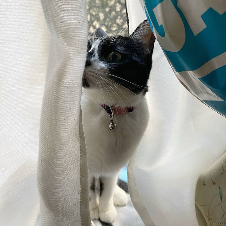 A3d1d936 2c75 4ea6 a46a 19f59eb578ef 1768628917082