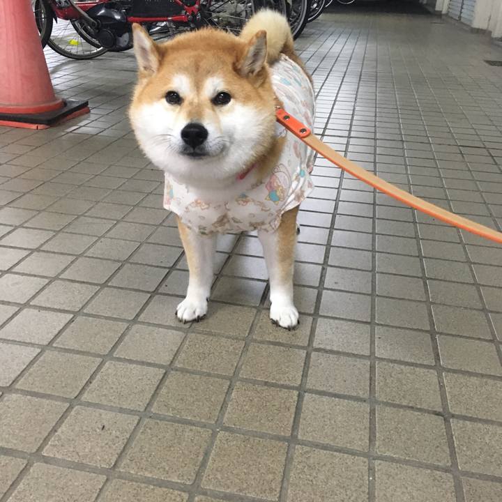 A3d1eabb ded5 4813 9e53 a0ff14a82199 1542534140809