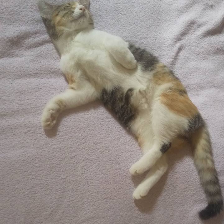 A3d1f2c5 93db 48f7 aec6 41e69ef66f77 1726895653866