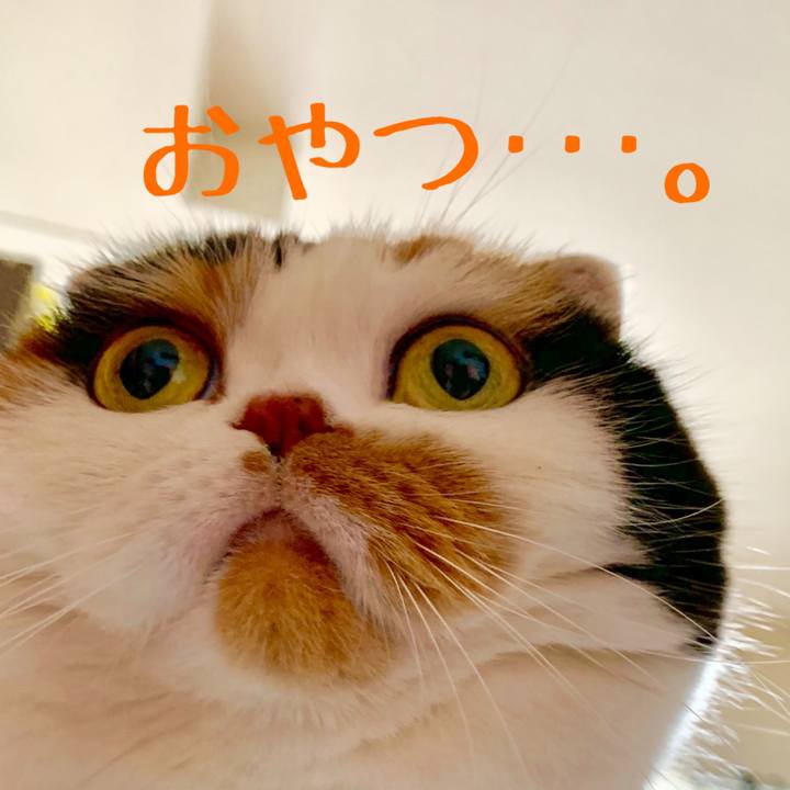 A3d206aa 61f5 4029 8e26 92f47f8373dd 1564034985715