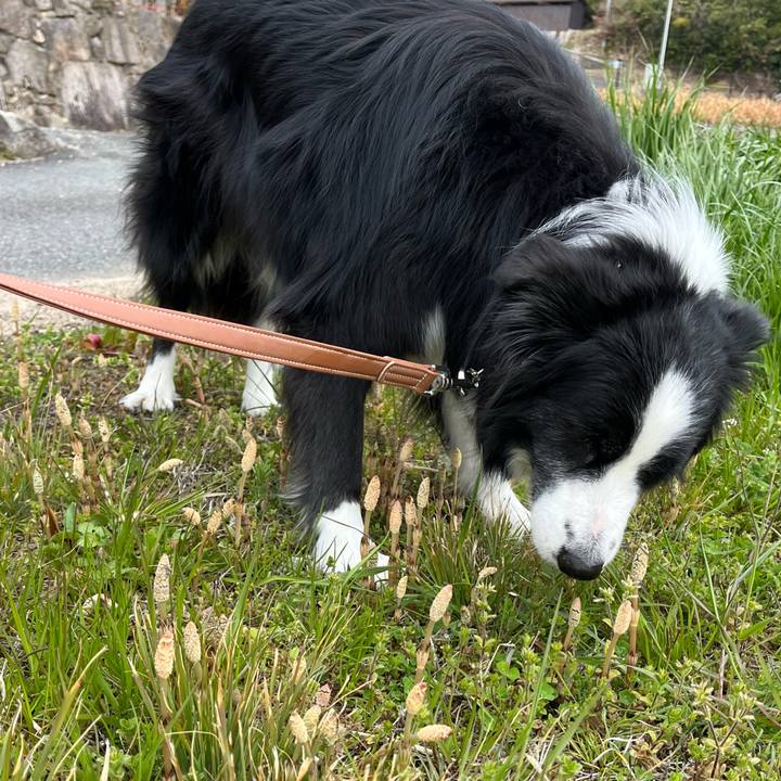 A3d22c2b 3608 4e67 a596 d10c19566a69 1774140761402