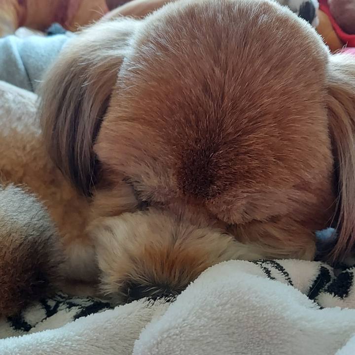 A3d236a3 8f3c 4704 b744 13fa276f2c6f 1646711857960