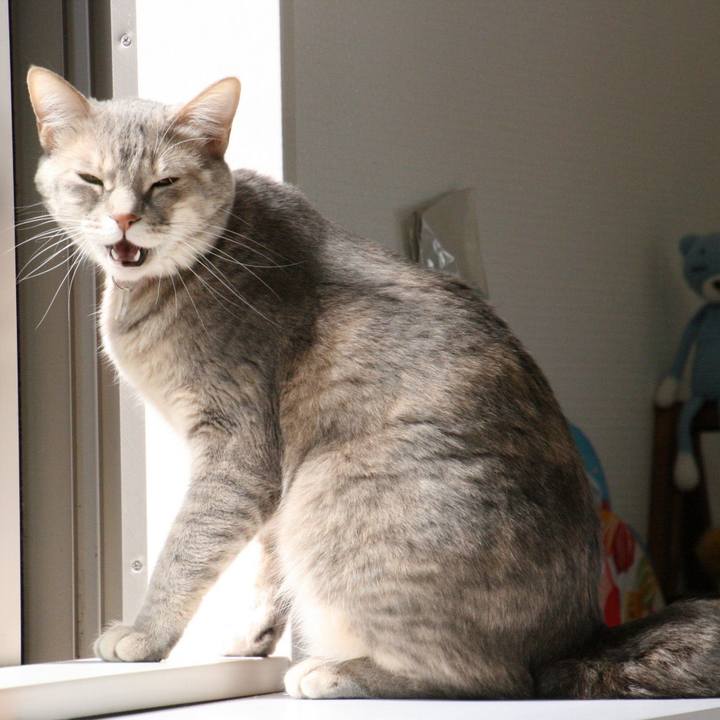 A3d251bf 02fa 4693 b4af af0a2a52c8a5 1520904750392