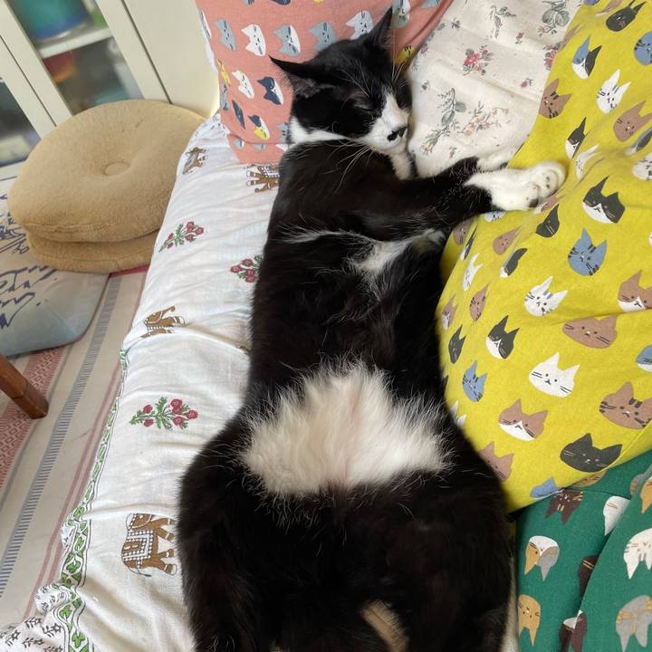 A3d256a6 d07c 4b62 8758 c54431896df4 1654211710662