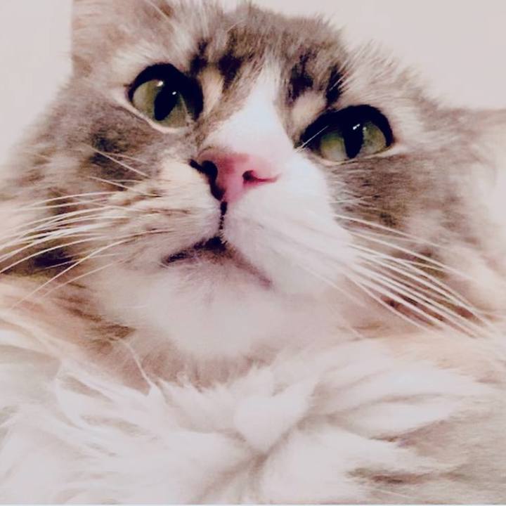 A3d265b9 1c69 432a 8ad3 629aa11cc2fc 1764344017538