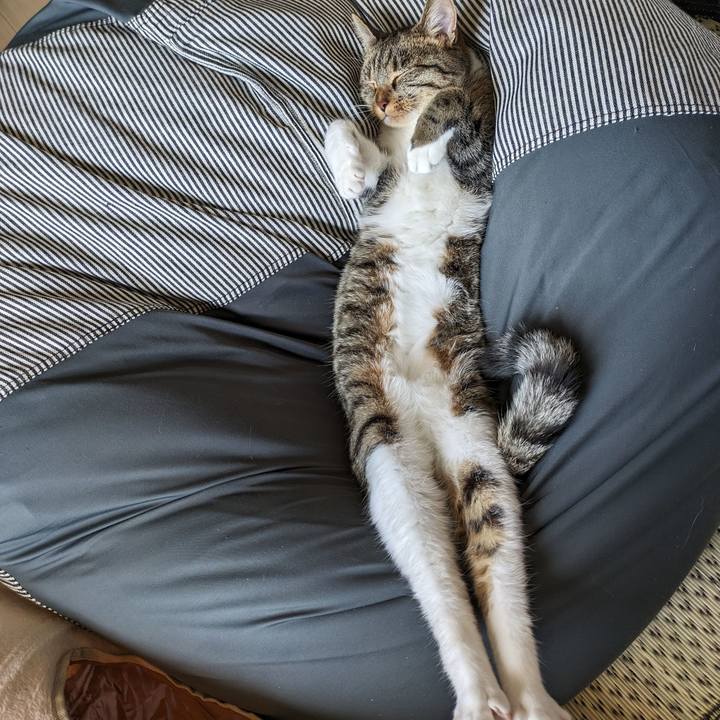 A3d26761 5f66 4671 b212 7e9823931139 1689556621058