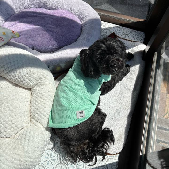 A3d2b7b0 8533 44b2 95b2 20f8e42c3d62 1755914953182