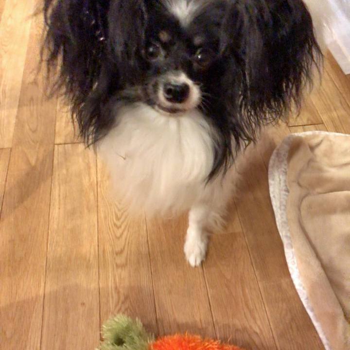 A3d2bd1d 85ad 485e b7fe c058dbffd269 1538564142919