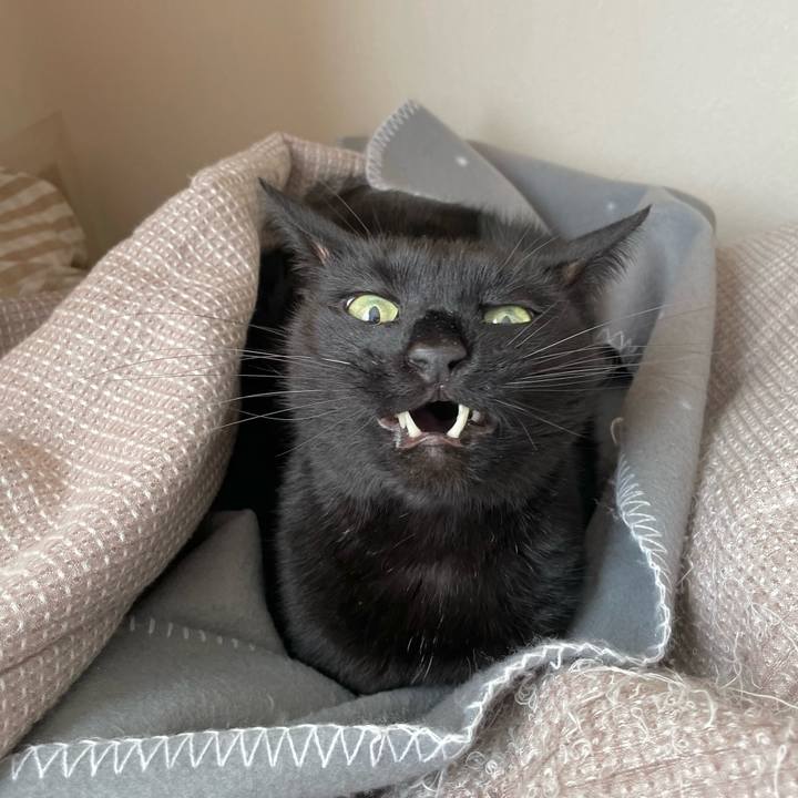 A3d2c446 fe93 48f9 96c1 7fdd83888ed8 1675082787412