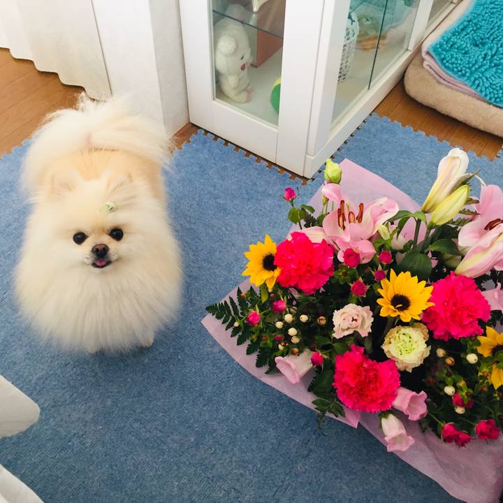 A3d2e41a 7028 4d4b a1ae 42450a7064b4 1557375461226