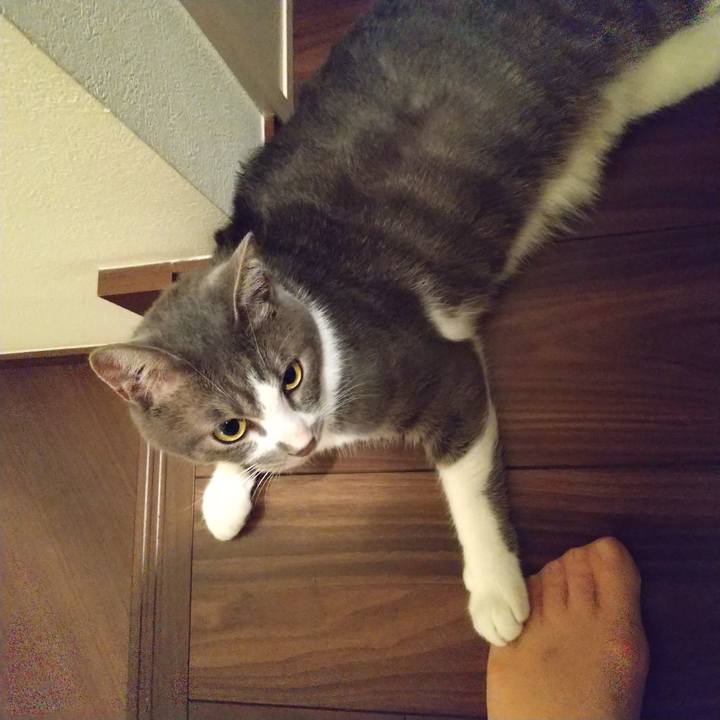 A3d2ef66 9fc7 4d89 bcb8 9ef208bba469 1598879870701