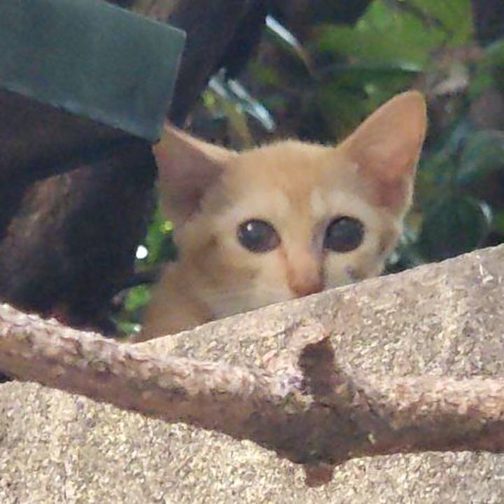 A3d2fa03 00e6 41f4 a4b7 0fbc1276e972 1723333403403