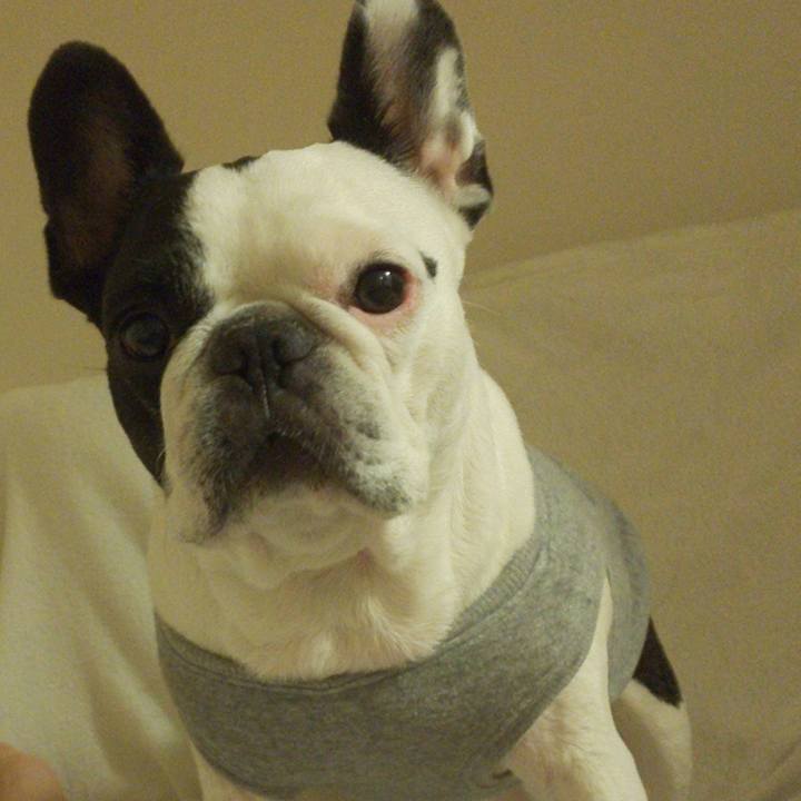 A3d30519 7164 42c2 81f4 5de1864b42b9 1602230881485