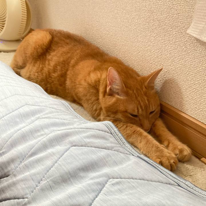 A3d3159e a0e9 4706 b92a 9827800ea35f 1757635660436