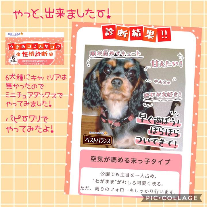 A3d31e92 8168 4d64 a59c 728049d5e52a 1542032887872