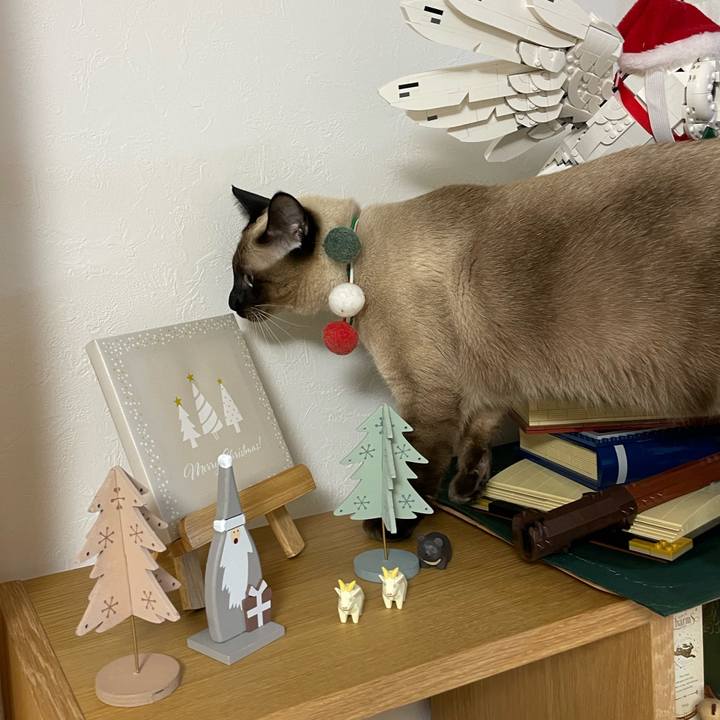 A3d320e1 40a4 44a7 b96f 73bb9d3405dd 1730836716244