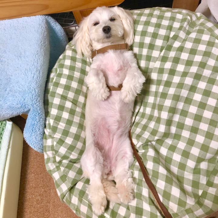 A3d327aa 3f1c 415f 8420 6a71e24d60d3 1533005437622