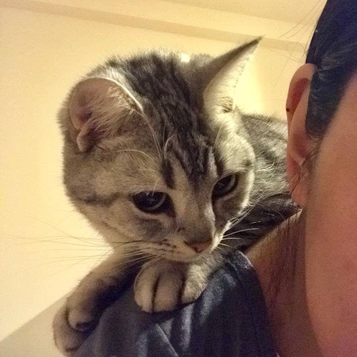 A3d32ccf 9ad9 4cb5 8bdb d0a4326d4884 1513862255806