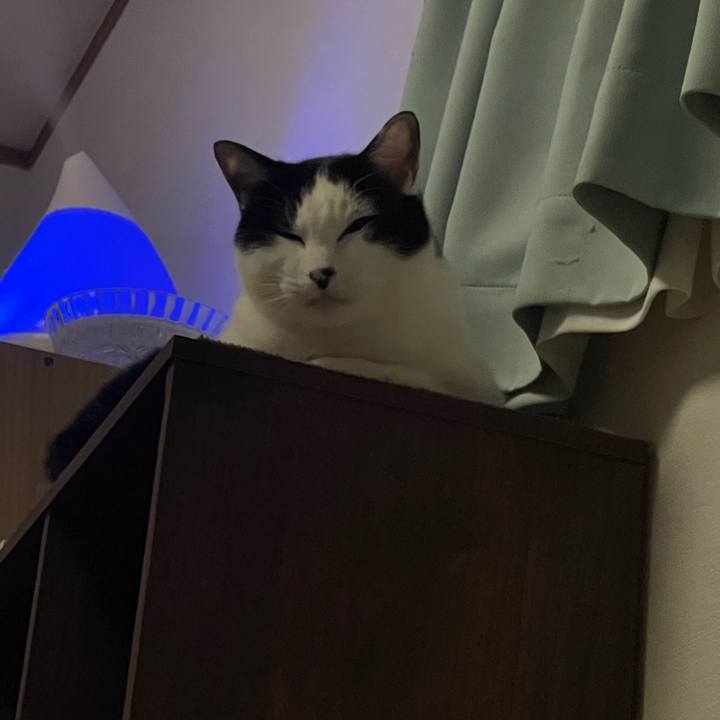 A3d32cdc 453d 4987 8ced bffe79b47e59 1674143772017