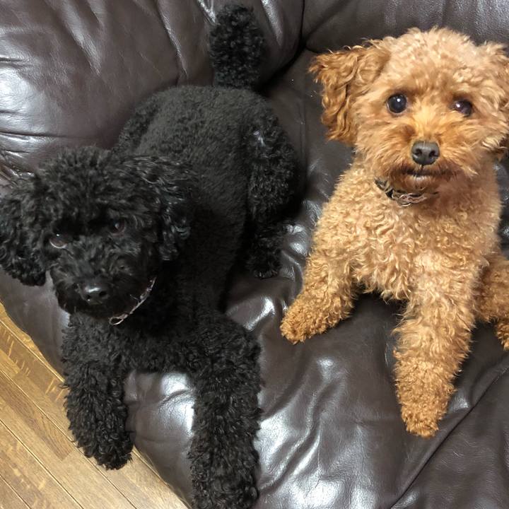 A3d35be3 fe91 4b8b 9bf7 1d30b6d7d209 1541716073688