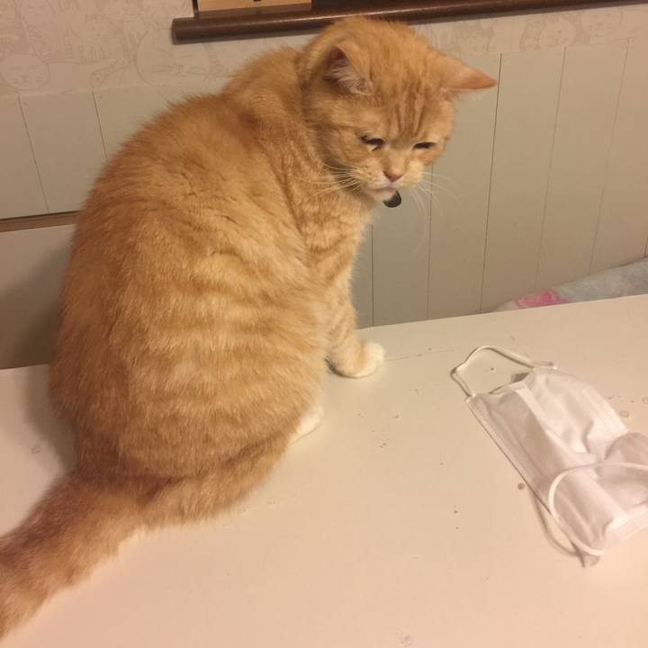 A3d36339 0f45 41d3 96cc 3f9aa80e8885 1554985933560